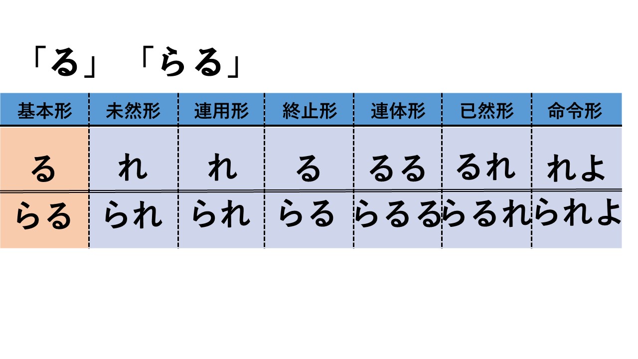 識別の意味